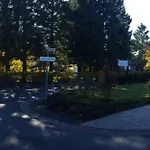 Bergidylle Winterberg