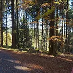 Bergidylle Hébergement de vacances