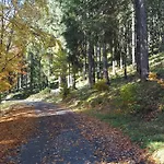 Bergidylle * Winterberg