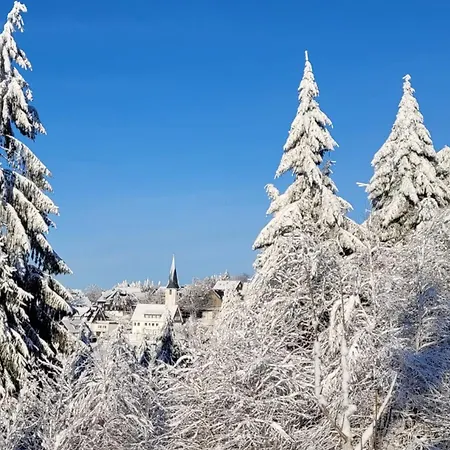 Vakantiehuis Bergidylle