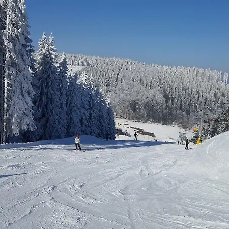 Дом отдыха Bergidylle Винтерберг