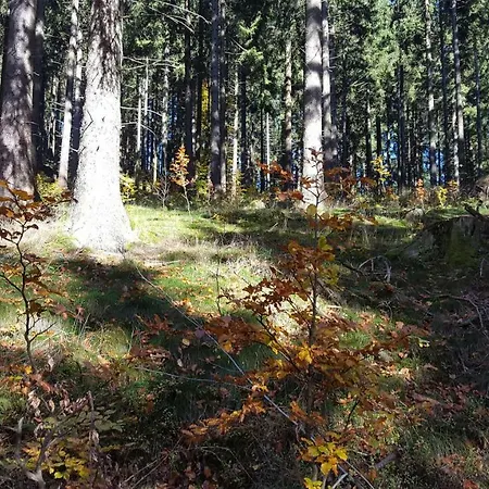 Vakantiehuis Bergidylle Winterberg