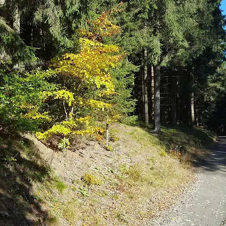 Bergidylle Casa de Férias Winterberg