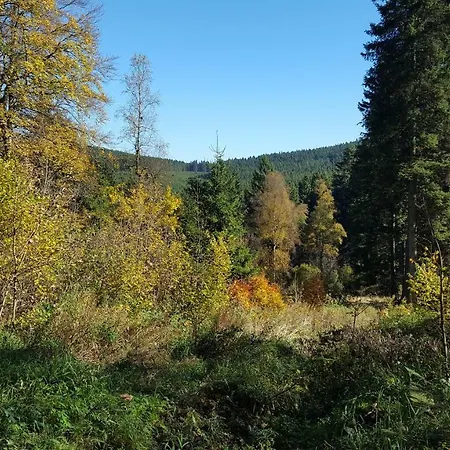 Дом отдыха Bergidylle