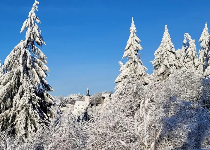 Vakantiehuis Bergidylle