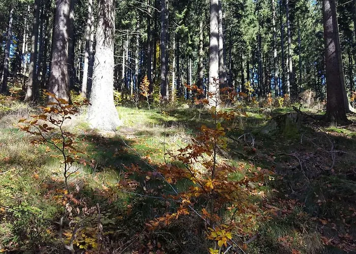 Semesterbostad Bergidylle Winterberg