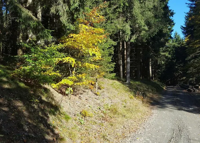 Bergidylle Semesterbostad Winterberg