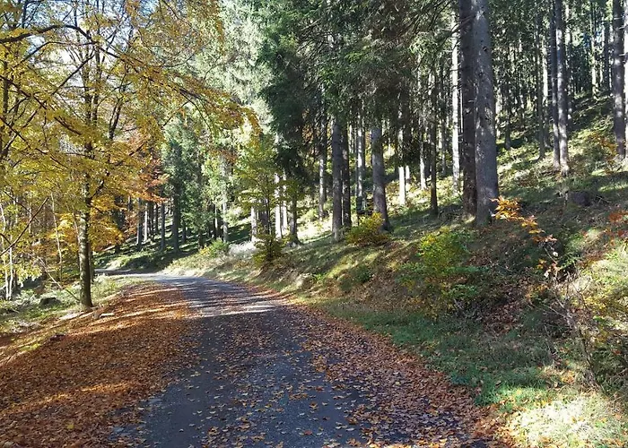 Bergidylle * Winterberg