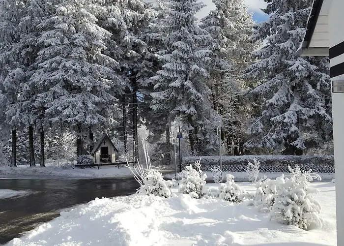 Bergidylle Winterberg