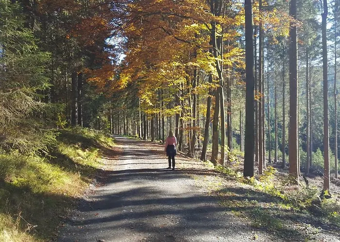 Semesterbostad Bergidylle