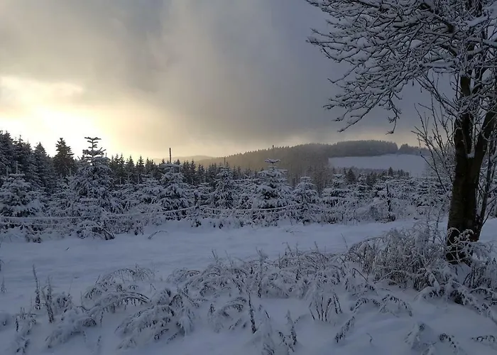 Bergidylle Winterberg