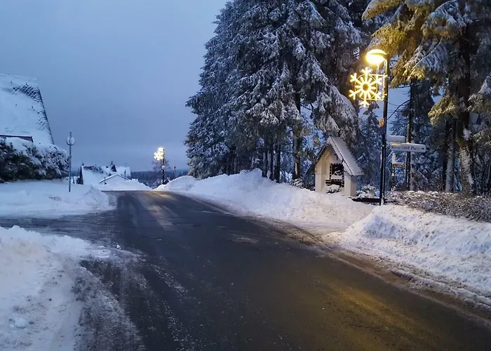 Bergidylle Feriehus Winterberg